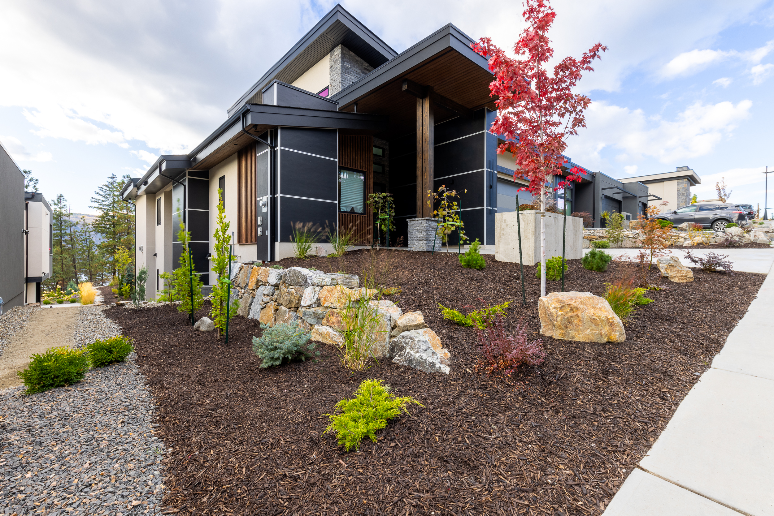 Modern Hillside Hardscape & Native Plantings